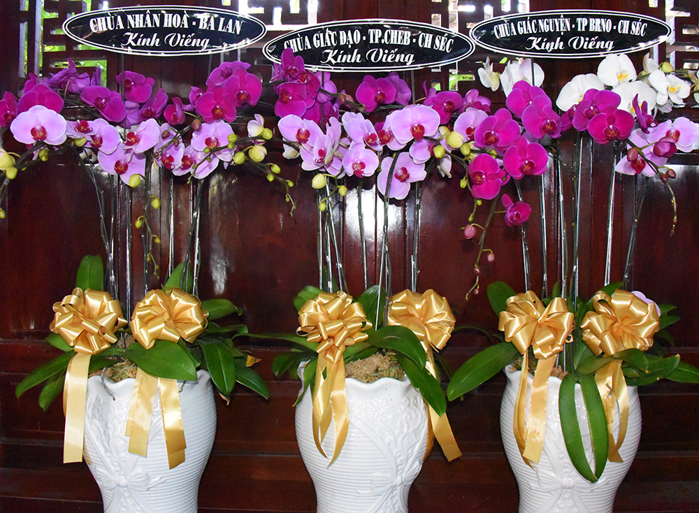 Lời cảm ơn chư tôn đức và quý Phật tử gửi hoa kính viếng cố  Phật tử Hoa Tâm